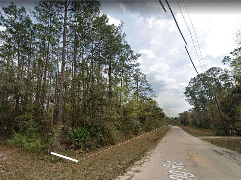 Florida Dream Home Nearby Lakes : Interlachen : Putnam County : Florida