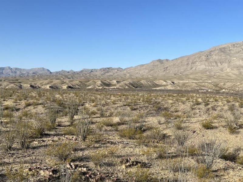 Off-Grid 20 Ac Presidio County, TX : Presidio : Presidio County : Texas