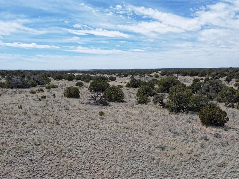 Camp RV Manufactured Homes Allowed : Sanders : Apache County : Arizona