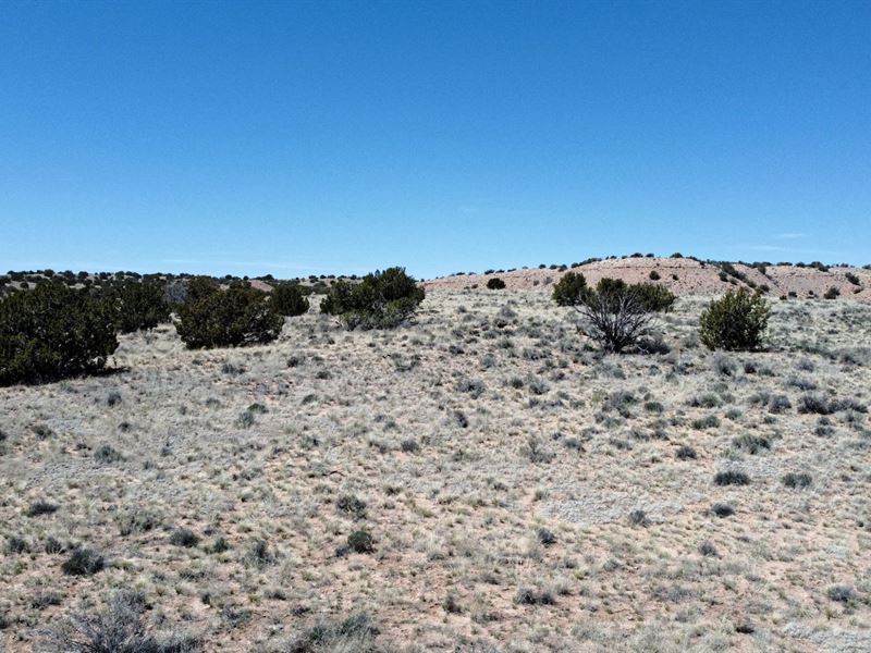 Escape To Nature's Paradise : Chambers : Apache County : Arizona
