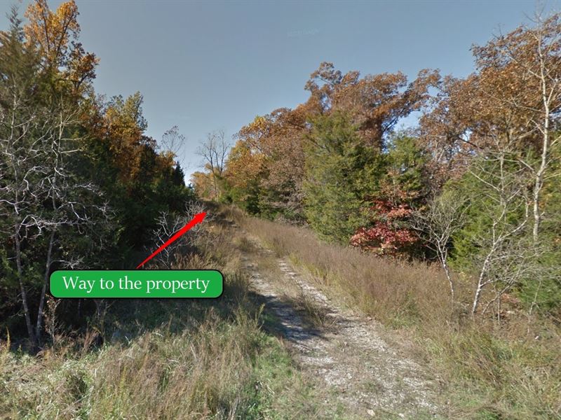 Almost 2 Acres Of Secluded Land : Horseshoe Bend : Izard County : Arkansas