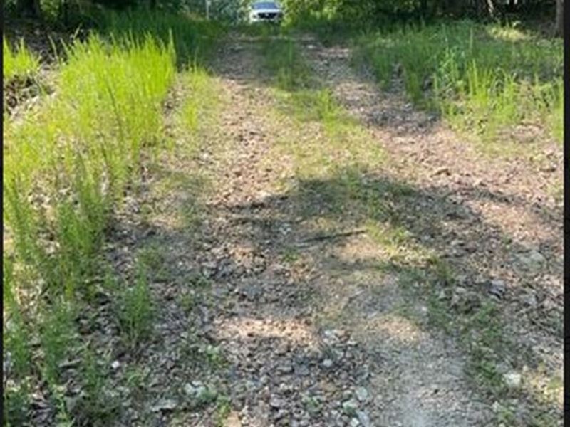 No Restriction Mountain Home Lot 7 : Mountain Home : Baxter County : Arkansas