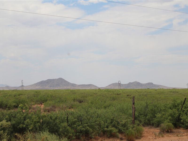 Get Ahead of The Game : Deming : Luna County : New Mexico
