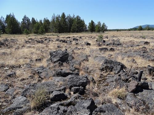 Enjoy a Nature Getaway : Chiloquin : Klamath County : Oregon