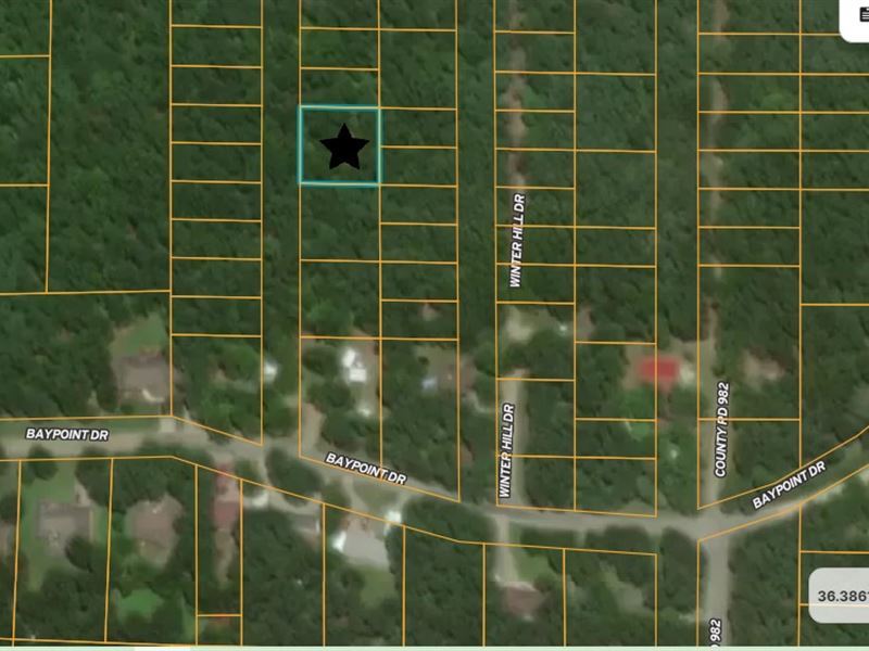 Secluded Oasis for RV, Utilities : Mountain Home : Baxter County : Arkansas