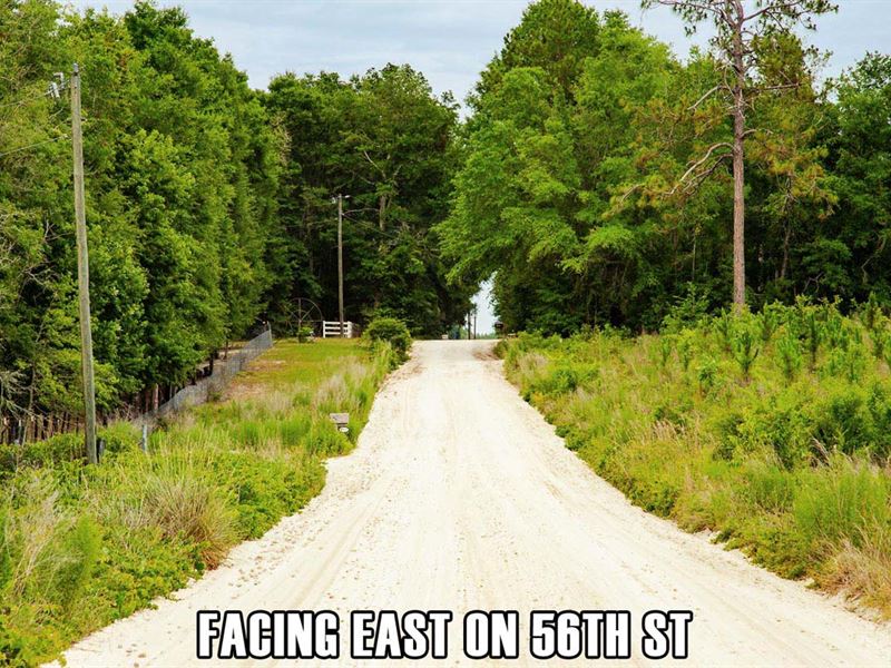 10.08 Ac Beautiful Rural Forest Lot : Live Oak : Suwannee County : Florida