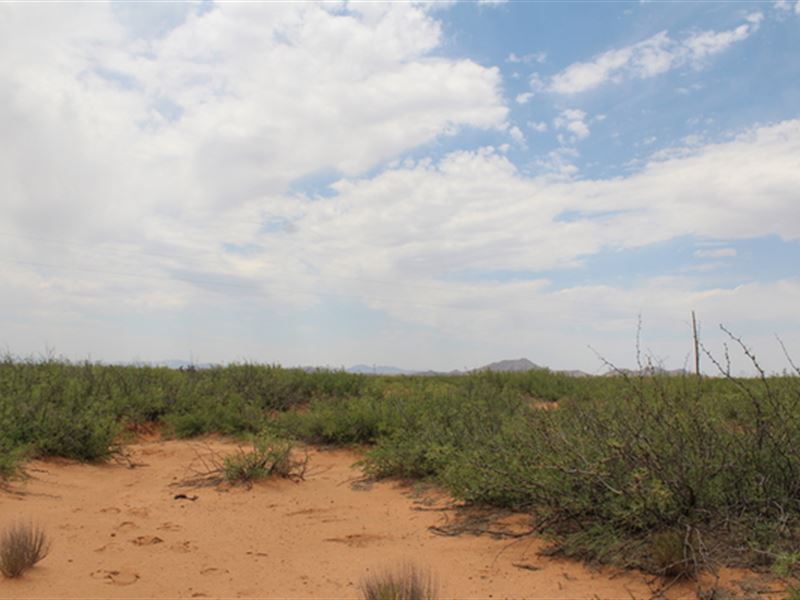 Score Big ON 4.77 Acres : Deming : Luna County : New Mexico