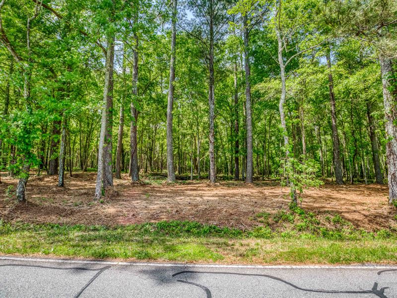 7.9 Acre Tract in Rutledge, GA : Rutledge : Morgan County : Georgia