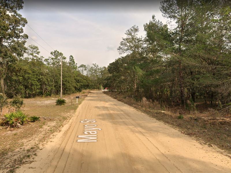 $1000, Unwrap The Joy of Discounts : Interlachen : Putnam County : Florida