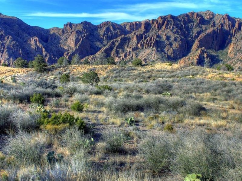 Black Friday Starts Now Up to $4000 : Presidio : Presidio County : Texas