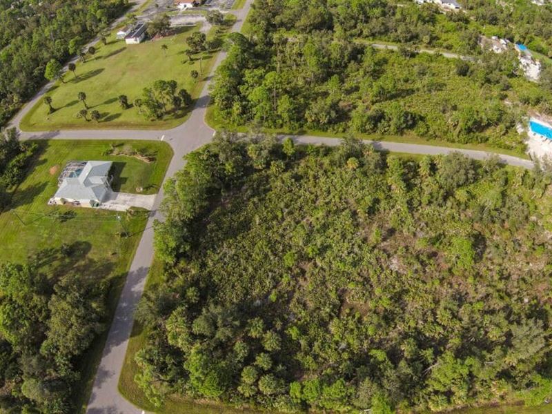 Unwind & Relax in Nearby Rivers : Port Charlotte : Charlotte County : Florida