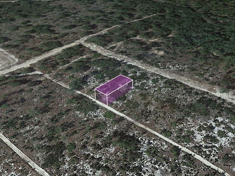 Cheap Land for Sale : Archer : Levy County : Florida
