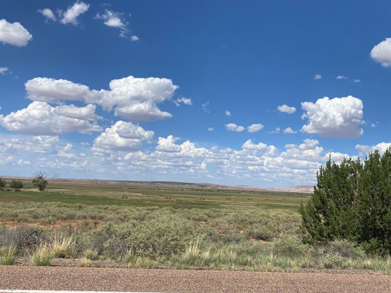 On Your Mark, Get Set, Save : Saint Johns : Apache County : Arizona