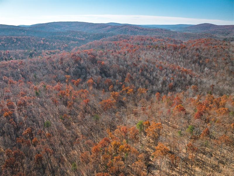 Black River Getaway : Lesterville : Reynolds County : Missouri