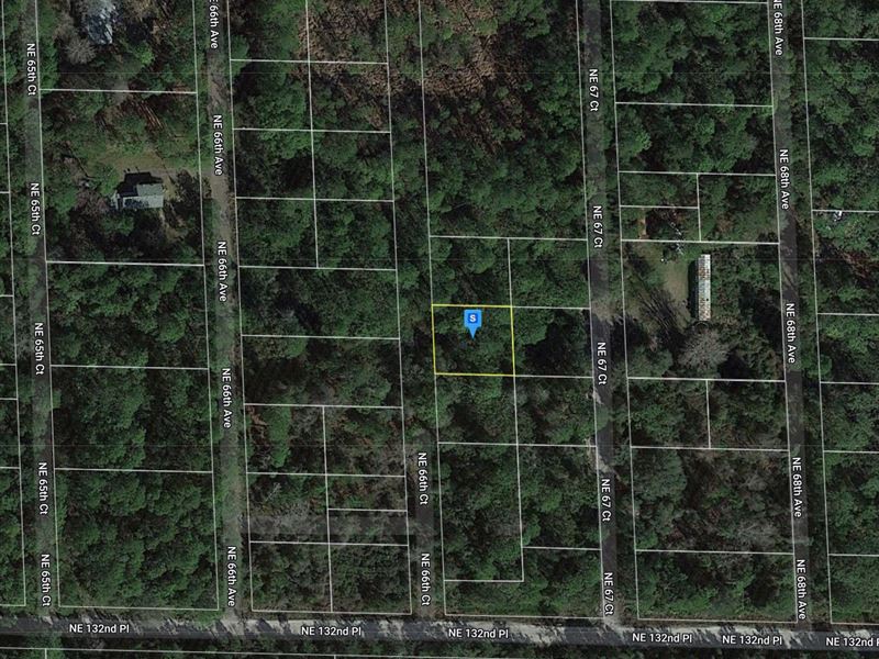 .17 Acre Unassigned Citra, FL 32113 : Citra : Marion County : Florida