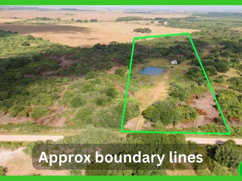 12 Acres, Wharton / Jackson County : Louise : Wharton County : Texas