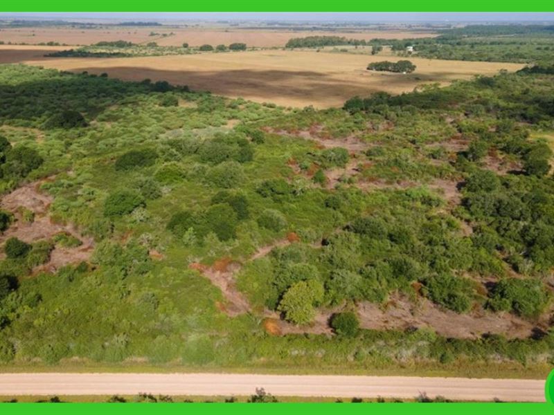 10 Acres, Wharton / Jackson County : Louise : Wharton County : Texas
