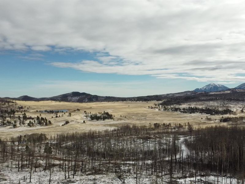 Your Ideal Land Awaits, 1.62 Acres : Fort Garland : Costilla County : Colorado