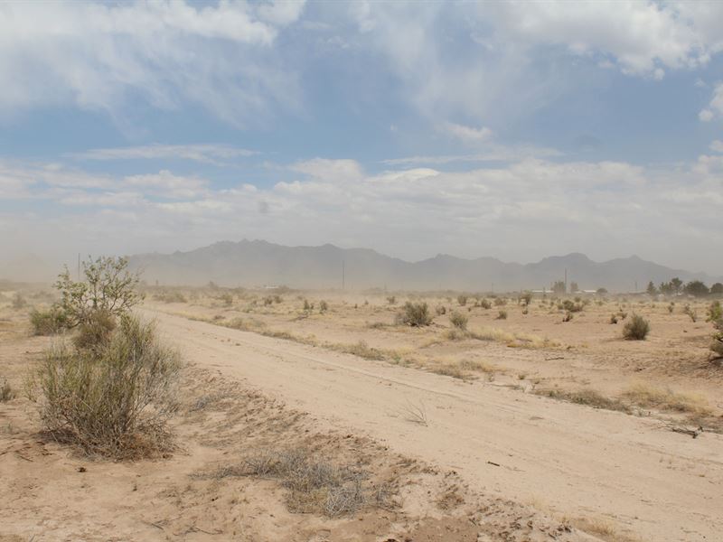 Drop in Price Now's Your Chance : Deming : Luna County : New Mexico