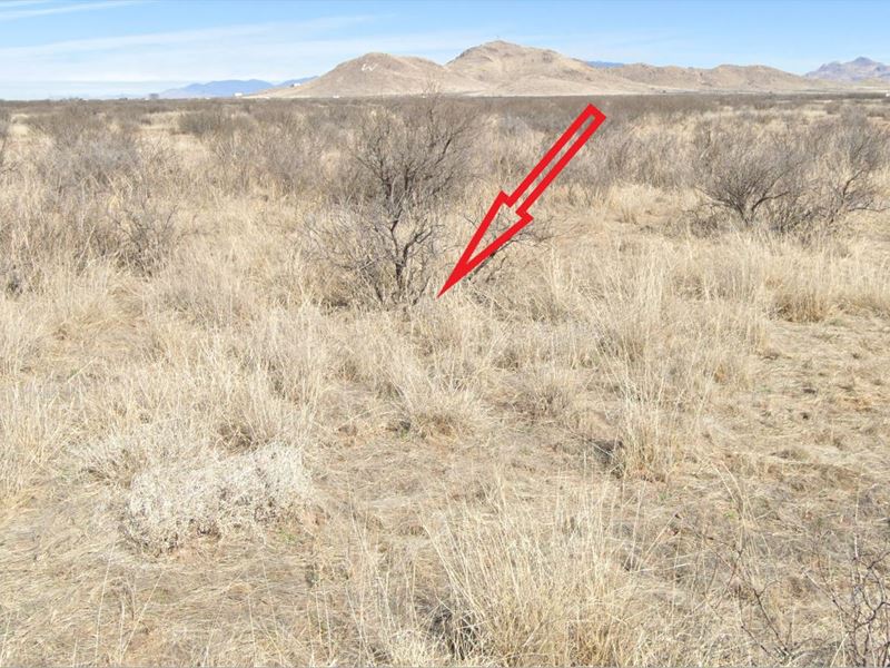 Black Friday Up To $1500 : Willcox : Cochise County : Arizona