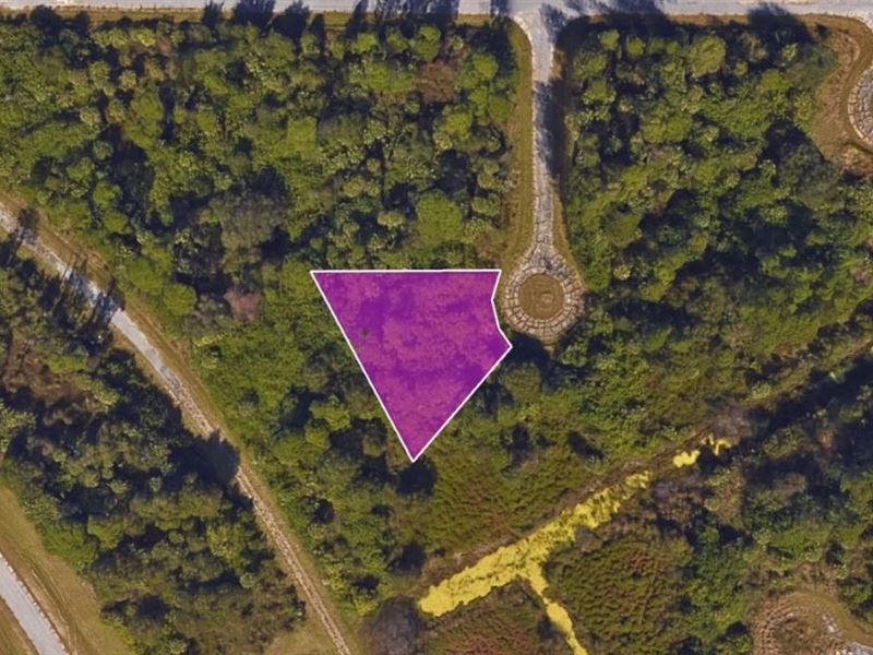 Owner Finance to a Deserving Buyer : North Port : Sarasota County : Florida
