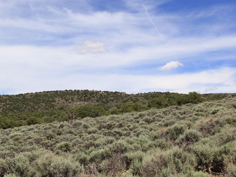 Star Gazing, Mountain Views : San Luis : Costilla County : Colorado