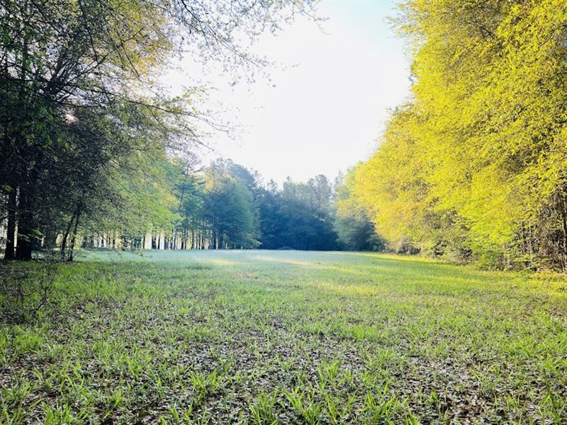 The Preserve at Juliette Lot 6 & 7 : Juliette : Monroe County : Georgia