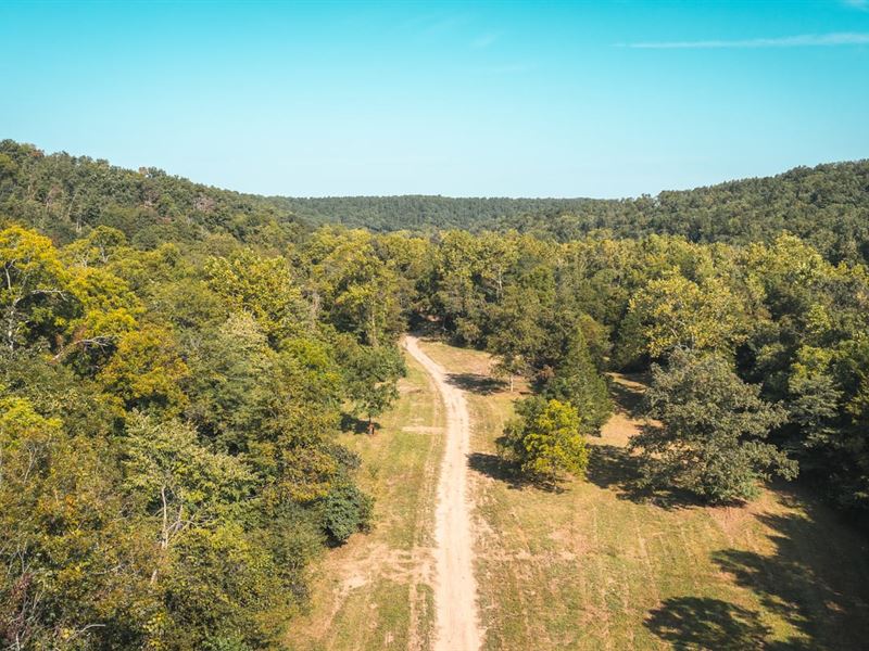 Paddy Creek Wilderness-Tract 1A : Roby : Texas County : Missouri