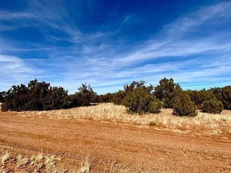 Corner Lot Paradise $275/Mo : Snowflake : Navajo County : Arizona