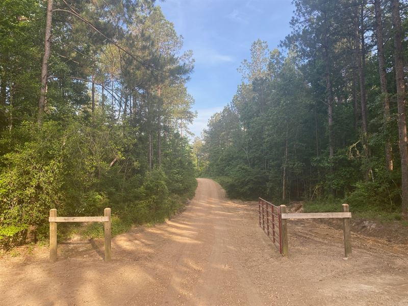 Pouncey Road Tract : Sumrall : Lamar County : Mississippi