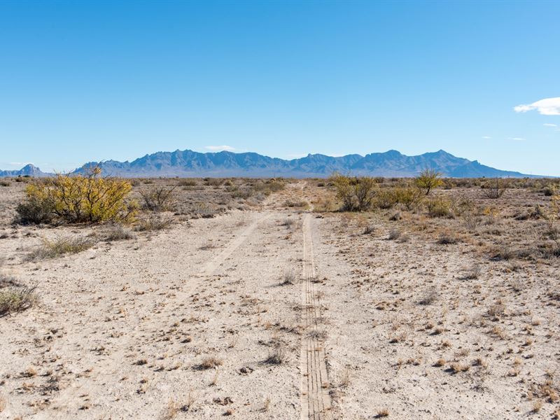 1 Ac with Power Nearby : Deming : Luna County : New Mexico