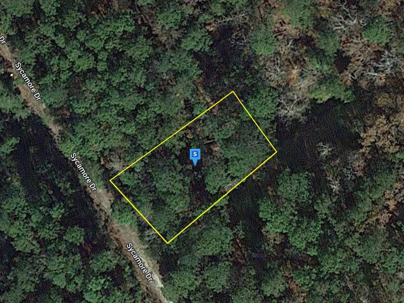 .24 Acre in Jasper County, Texas : Brookeland : Jasper County : Texas
