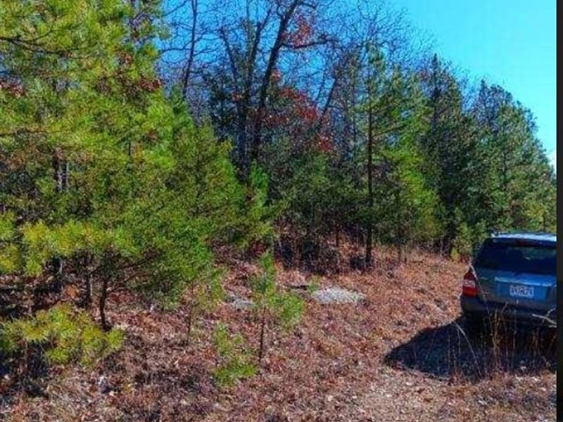 Open Zoned 5000 Sqft Lot on CR 143 : Henderson : Baxter County : Arkansas