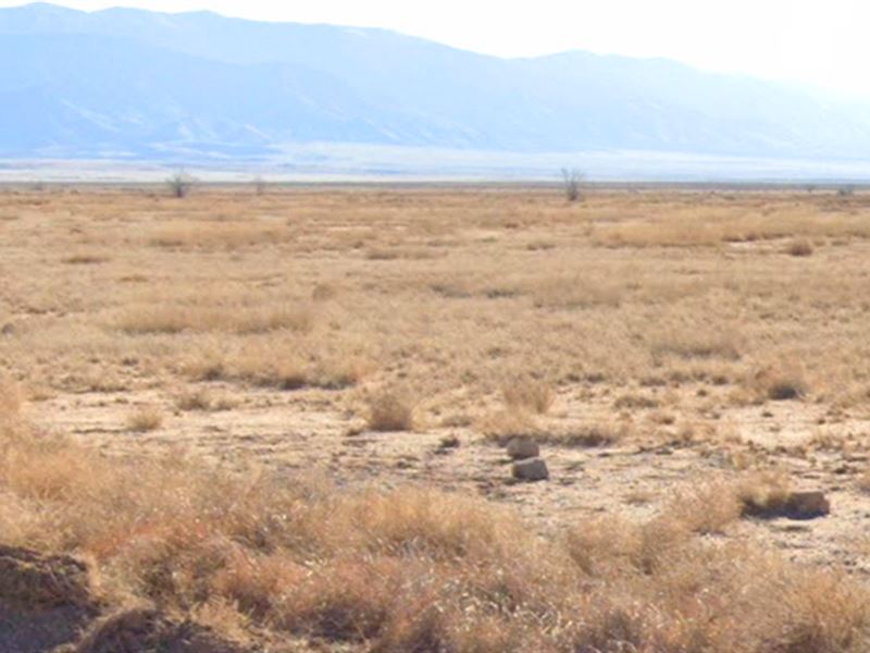 90-Day Same as Cash $224 or $49 : Los Lunas : Valencia County : New Mexico