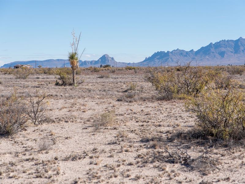 Views in Every Direction : Deming : Luna County : New Mexico