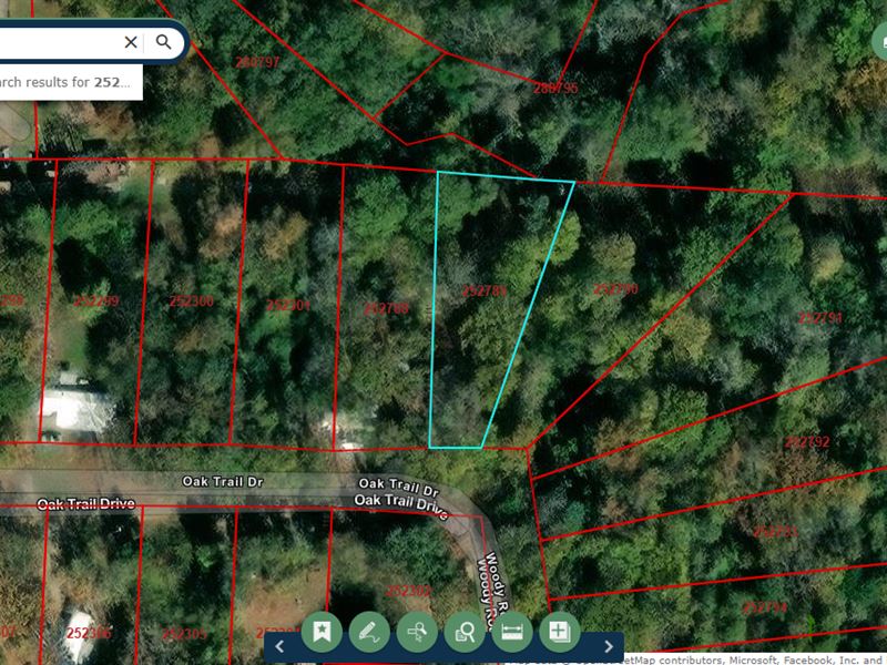 Walk to Cedar Creek Reservoir : Mabank : Henderson County : Texas