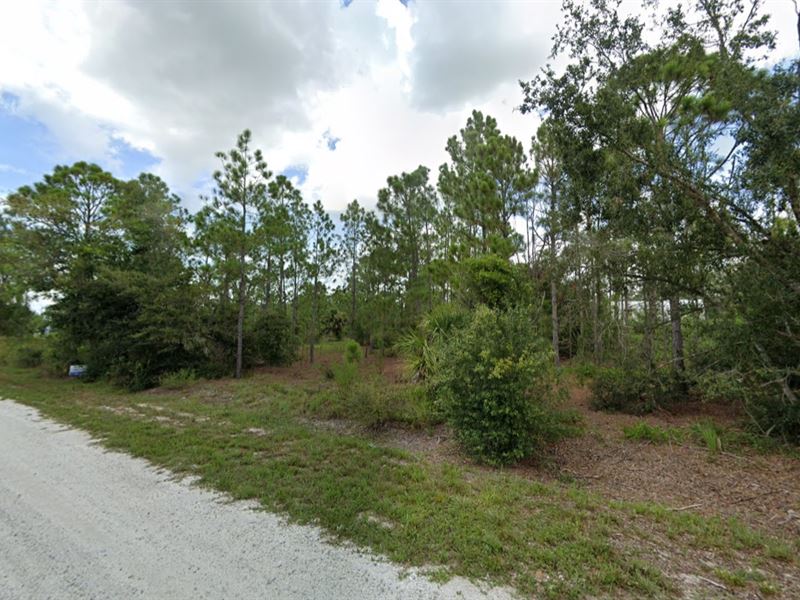 Your Florida Dreams Awaits : Punta Gorda : Charlotte County : Florida