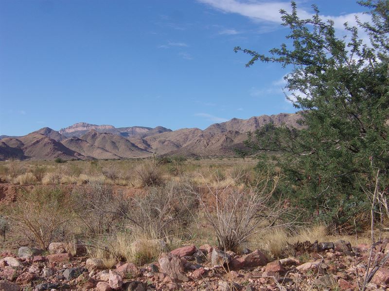 Peaceful and Off-Grid Homesteaders : Kingman : Mohave County : Arizona