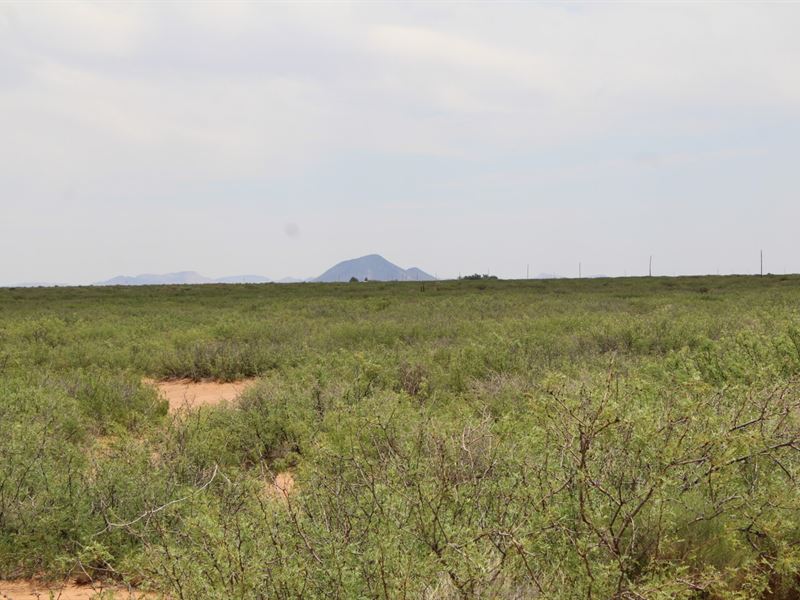 Unlock Your Savings Mode : Deming : Luna County : New Mexico
