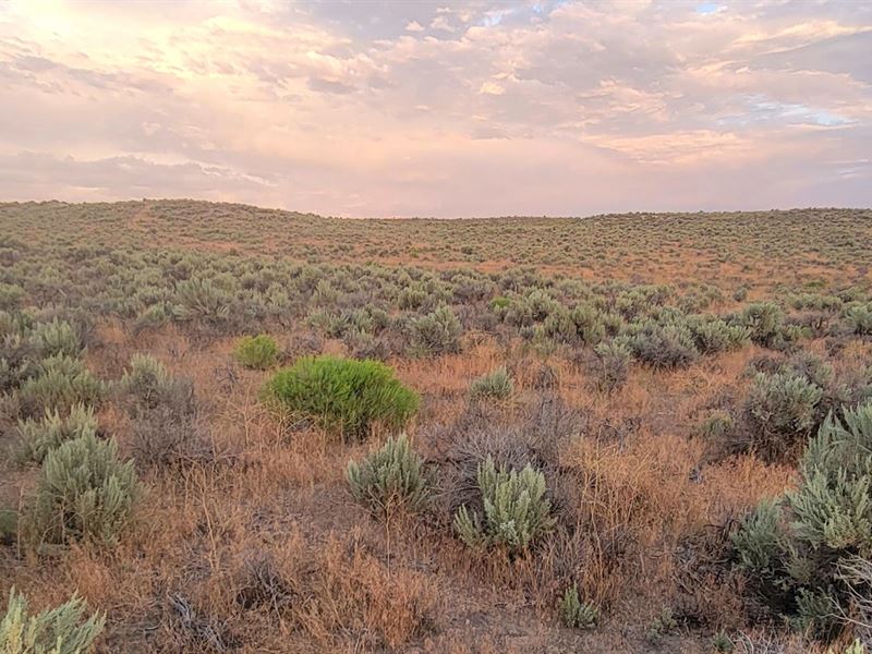 $150 Down, Mountain View 1.03 Acres : Elko : Elko County : Nevada