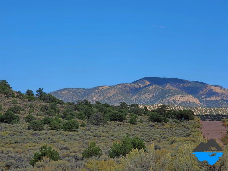 Camp Hike Fish Sled & Own This Lot : Fort Garland : Costilla County : Colorado