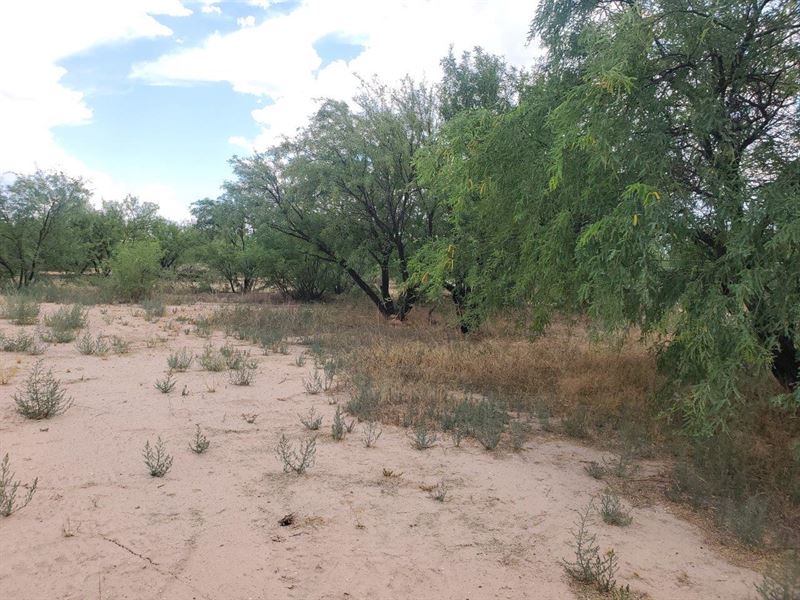 Perfect for a Mobile Home : Benson : Cochise County : Arizona