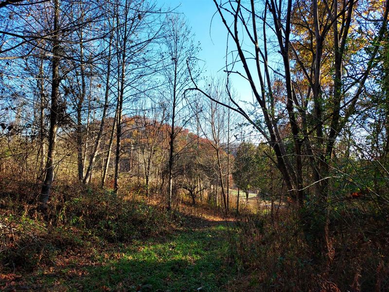 11+ Acres Home-Creek & Mountain Lan : Sneedville : Hancock County : Tennessee