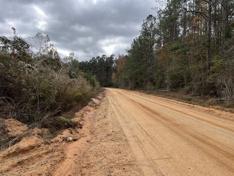 13 Acres Blackrock Road : Honoraville : Crenshaw County : Alabama