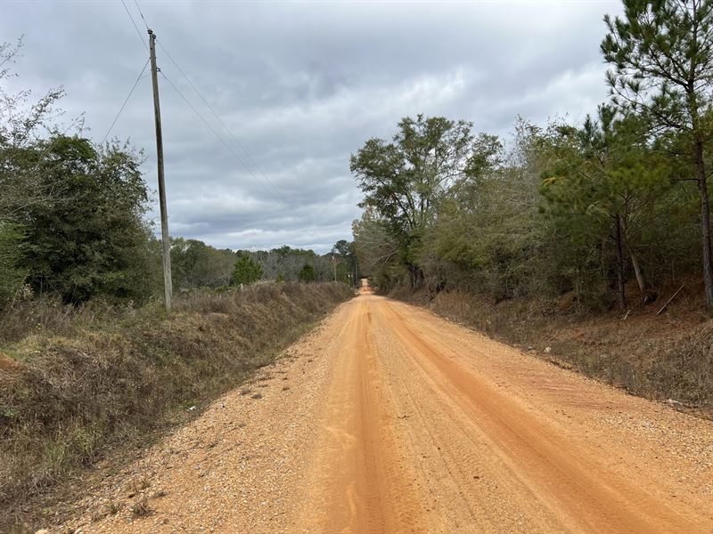 13 Acres Blackrock Road : Honoraville : Crenshaw County : Alabama
