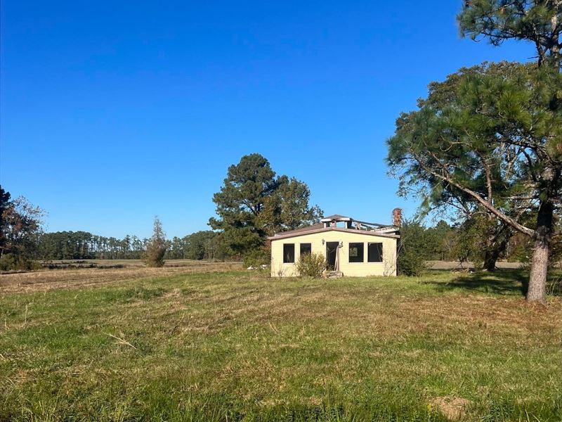 Land for Sale in Pinetown, NC : Pinetown : Beaufort County : North Carolina