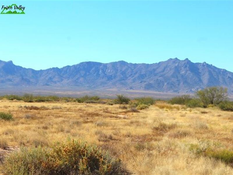 Elite 1 Acre with Soaring Views : Deming : Luna County : New Mexico