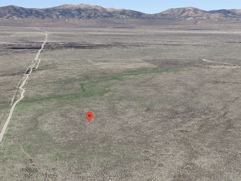 Buy Happiness, Buy Land : Montello : Elko County : Nevada
