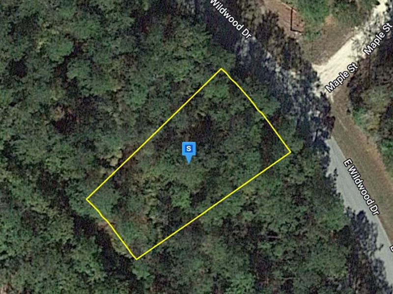 .23 Acre in Tyler County, Texas : Village Mills : Tyler County : Texas