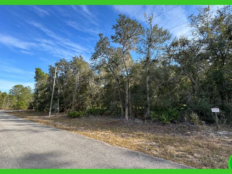 .27 Acre in Marion County, FL : Ocklawaha : Marion County : Florida